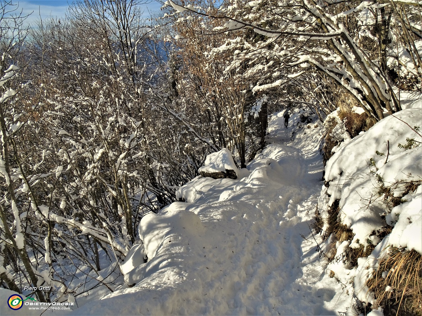 59 La neve fresca e soffice permette una facile divertente discesa.JPG